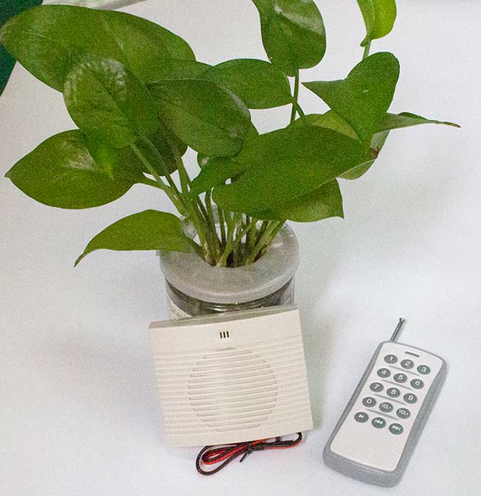 无线？毓婊